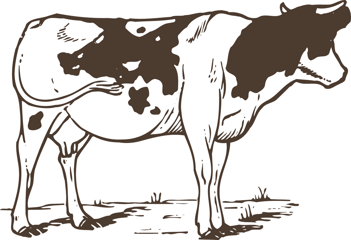 animals drawing poultry animals vector showcasing farm life with unique illustrations and details