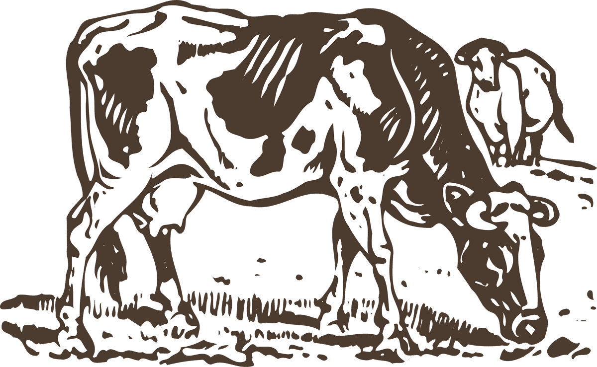 animals drawing poultry animals vector in a rustic style for farm-themed projects