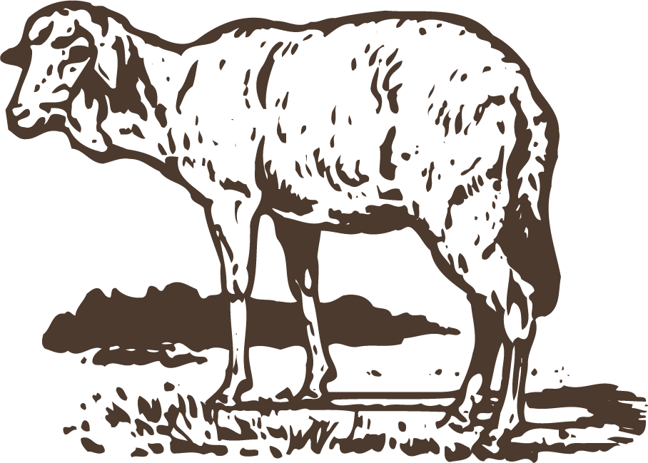 animals drawing poultry animals vector with vintage style and natural textures