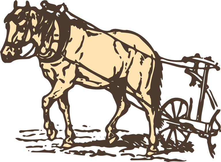 farm animals drawing poultry animals vector for rustic and vintage style projects
