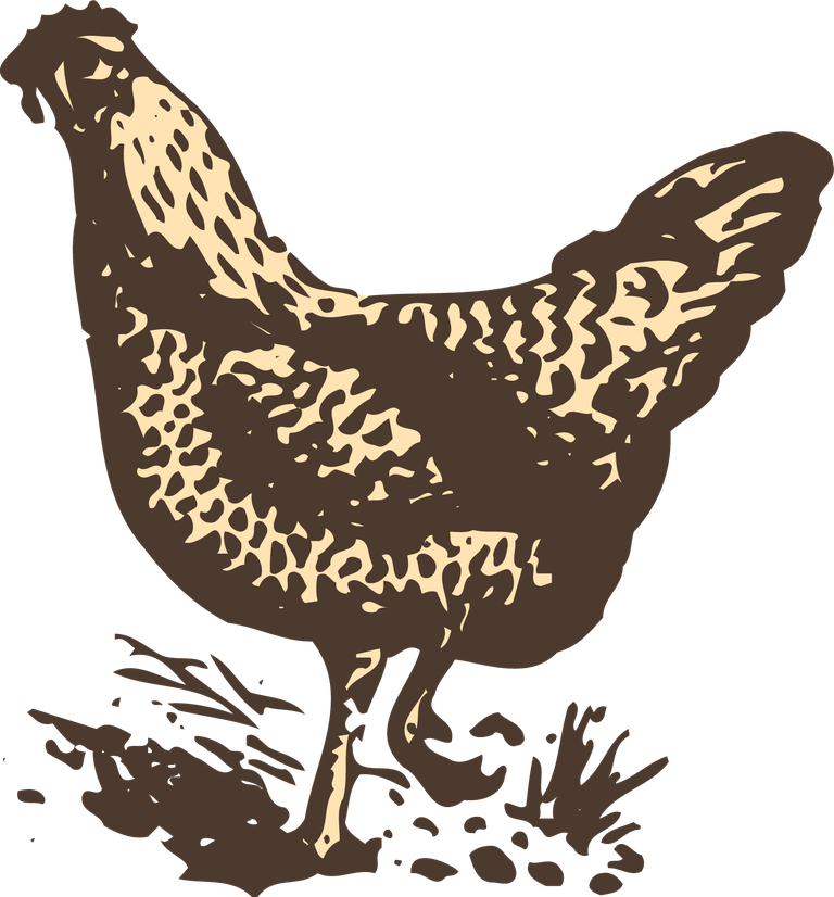 animals drawing poultry animals vector