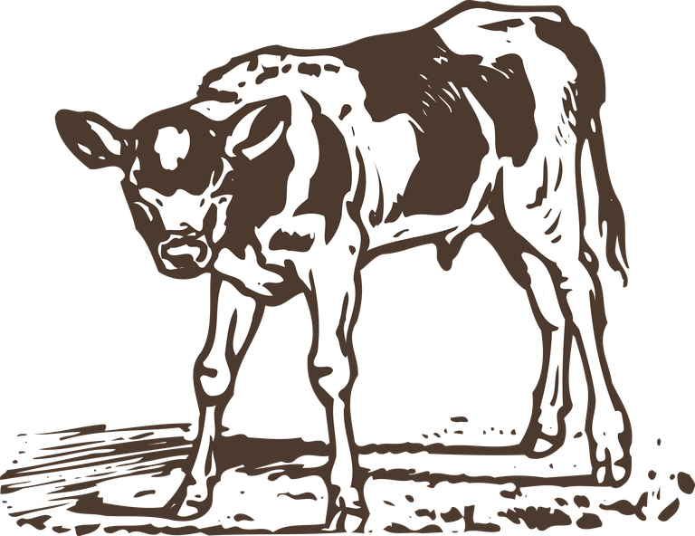 animals drawing poultry animals vector featuring detailed illustrations of farm animals for educational use