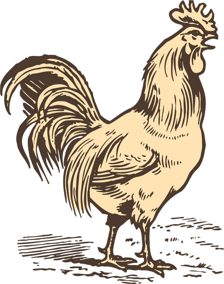 animals drawing poultry animals vector
