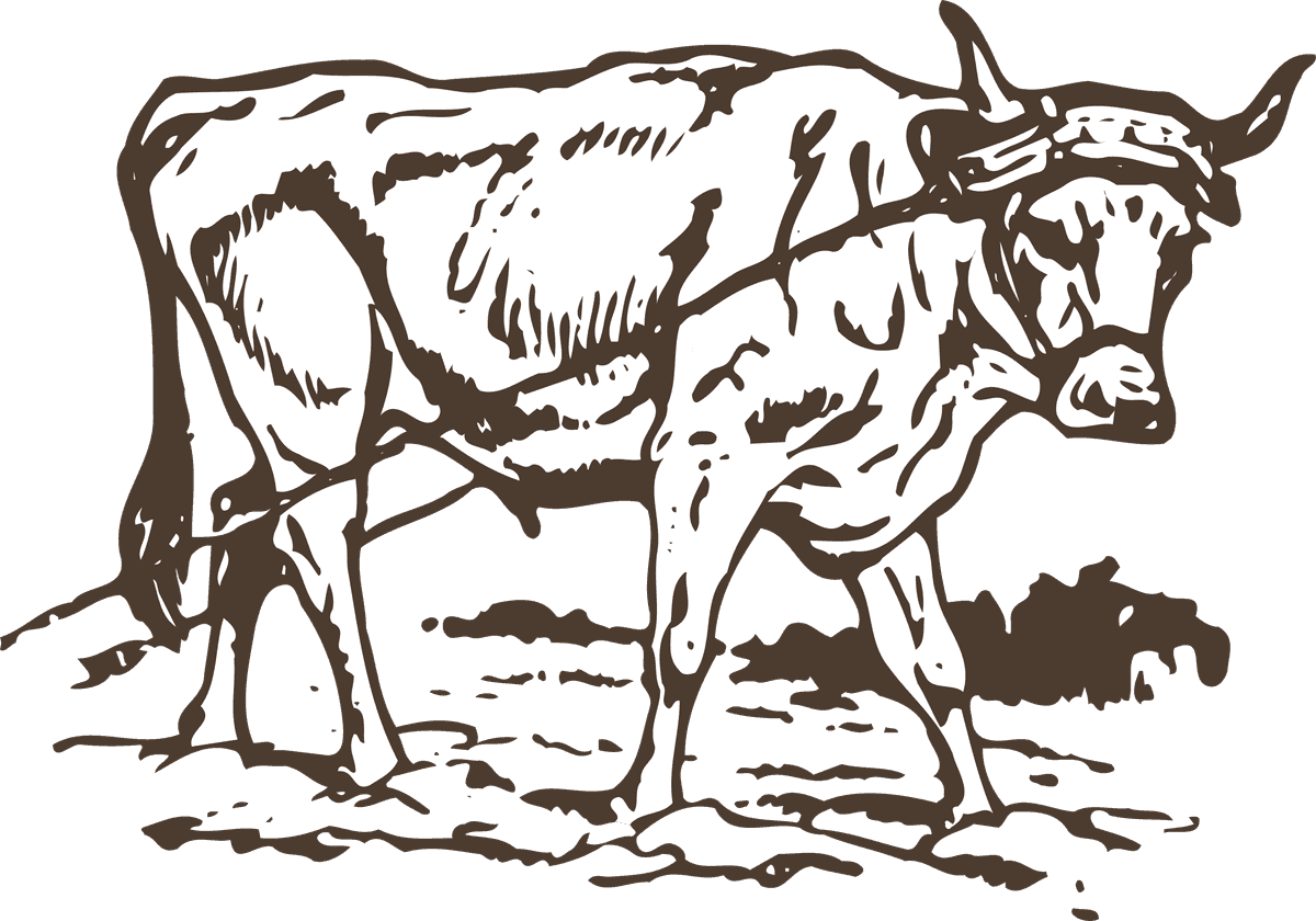 animals drawing poultry animals vector with detailed lines and rustic charm for farm art