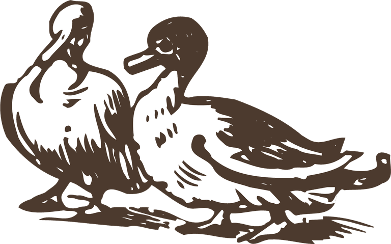 animals drawing poultry animals vector