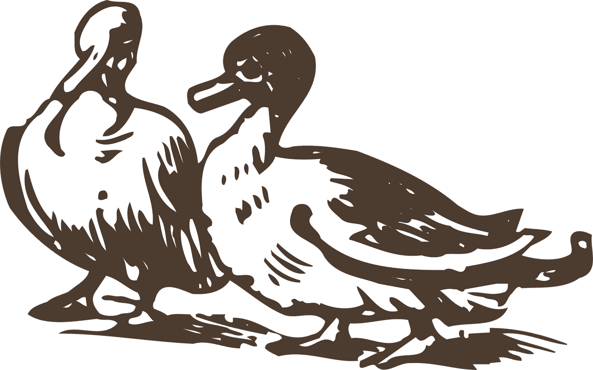 charming animals drawing poultry animals vector for farm decor and educational use