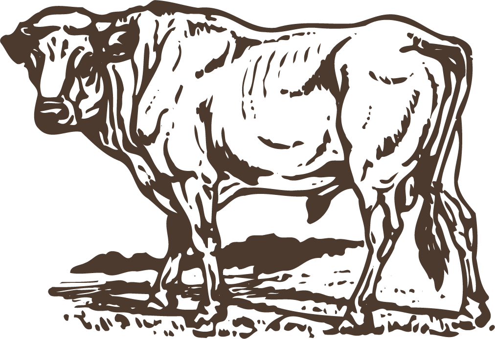 animals drawing poultry animals vector with unique artistry and clarity for diverse projects