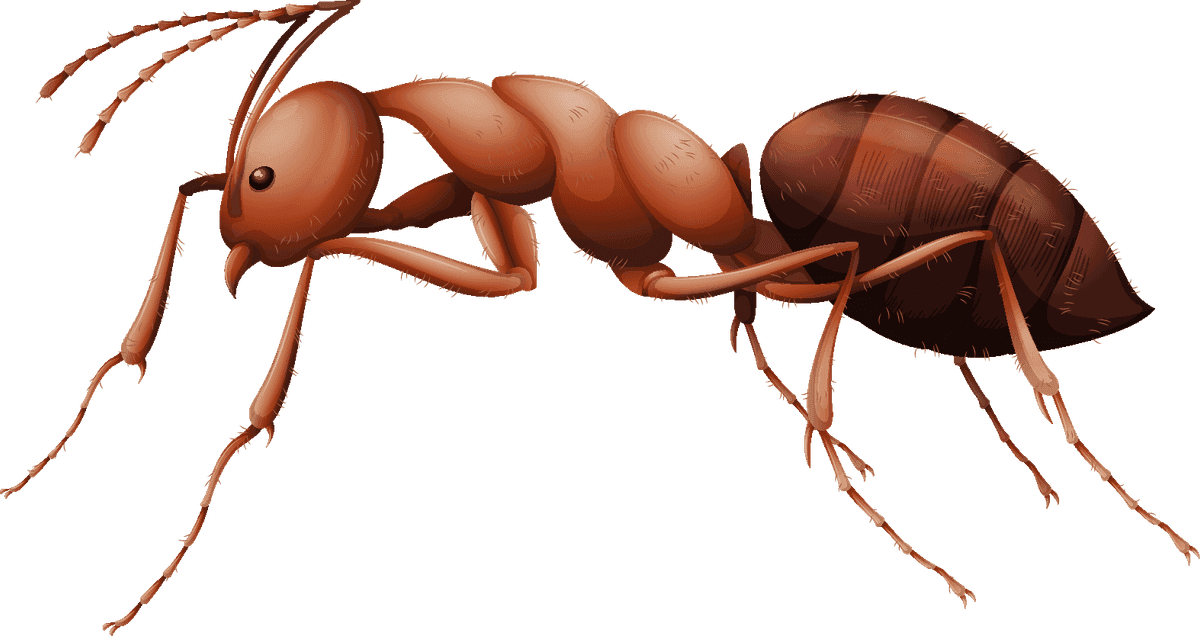 ant set insect character in playful style for children’s educational materials