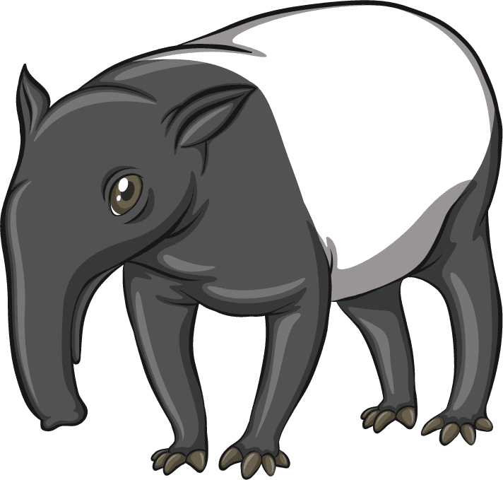 anteaters isolated picture wild animals in a playful cartoon style for educational use