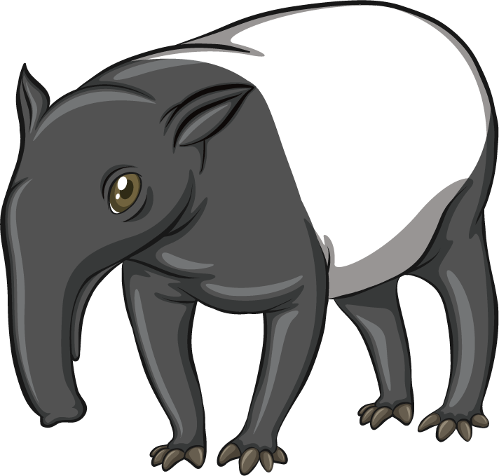 anteaters isolated picture wild animals in a playful cartoon style for educational use