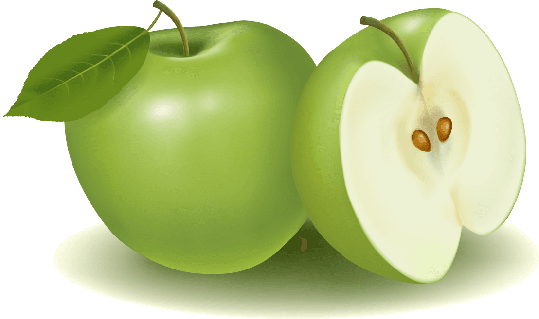 apple and pears slice vector illustration for fresh food branding and healthy recipes