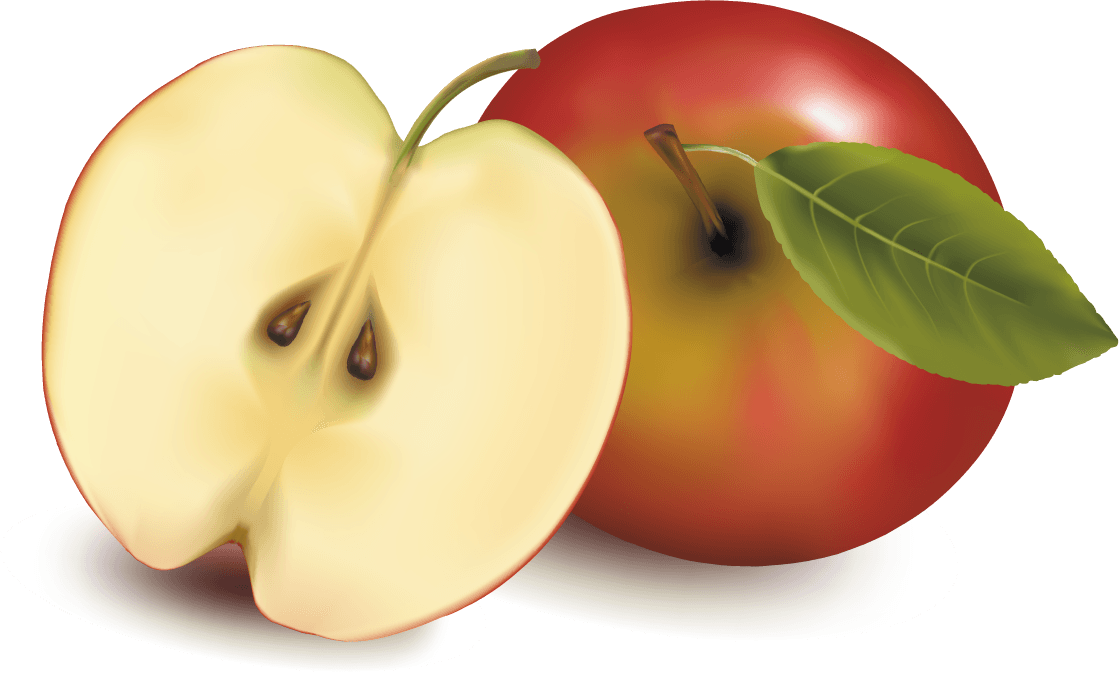 Apple and pears slice vector