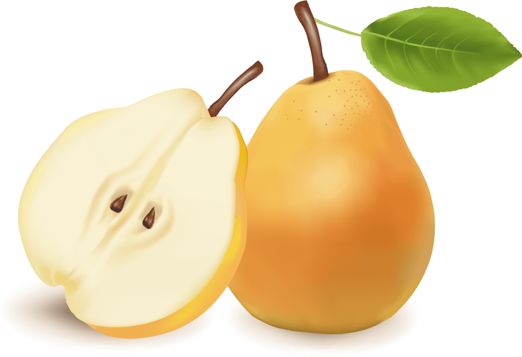 Apple and pears slice vector