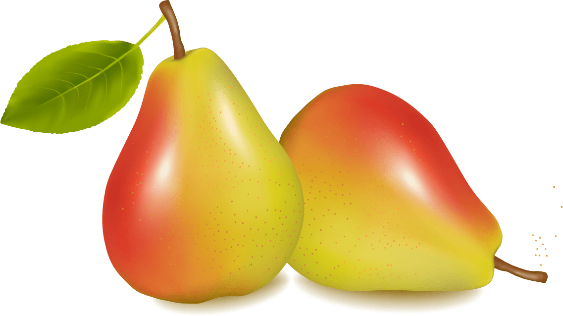 apple and pears slice vector art with vibrant colors and realistic textures for culinary use