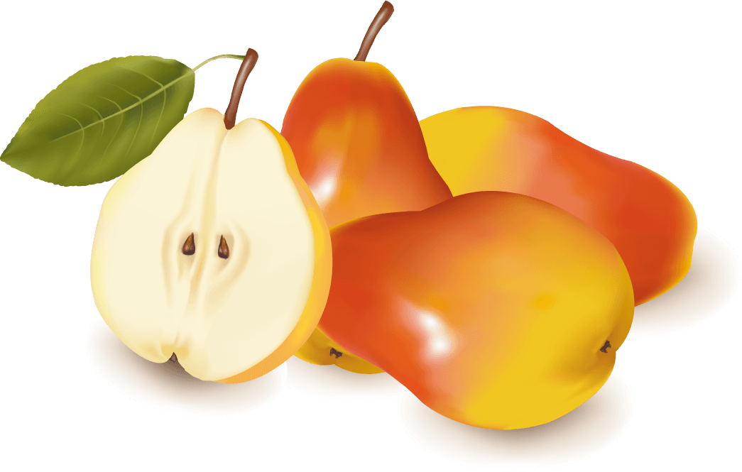 Apple and pears slice vector