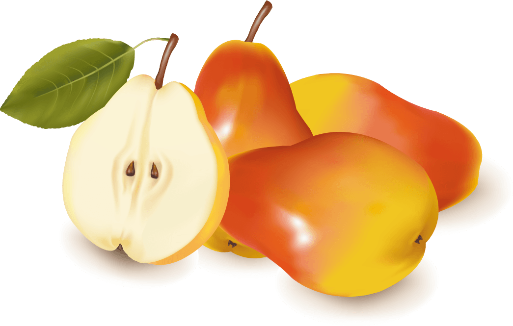 apple and pears slice vector artwork featuring vibrant colors and realistic details for culinary projects