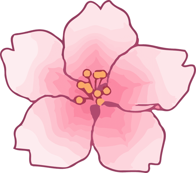 art drawing flower peach color bright cover