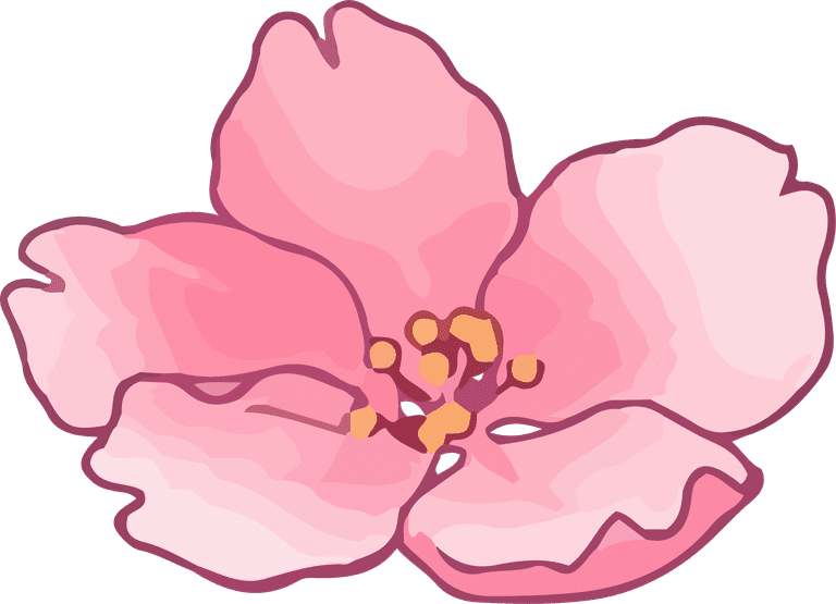 art drawing flower peach color bright cover