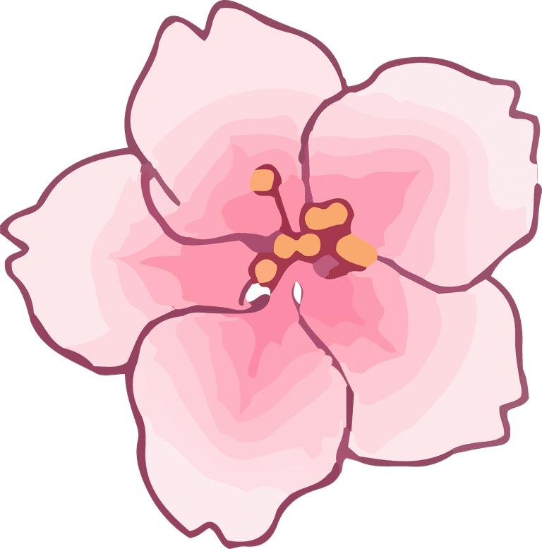 art drawing flower peach color bright cover