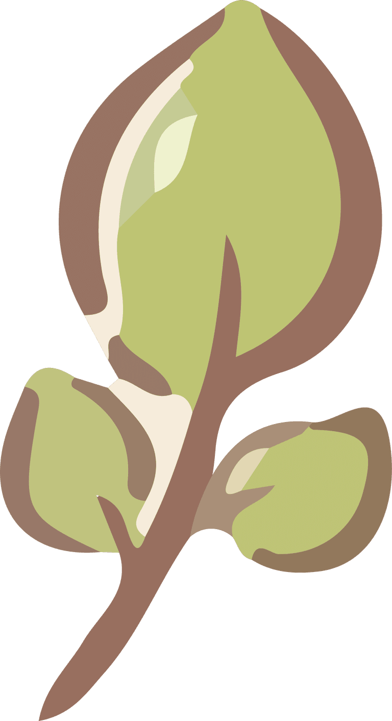 art drawing leaves shape cute color fresh cover