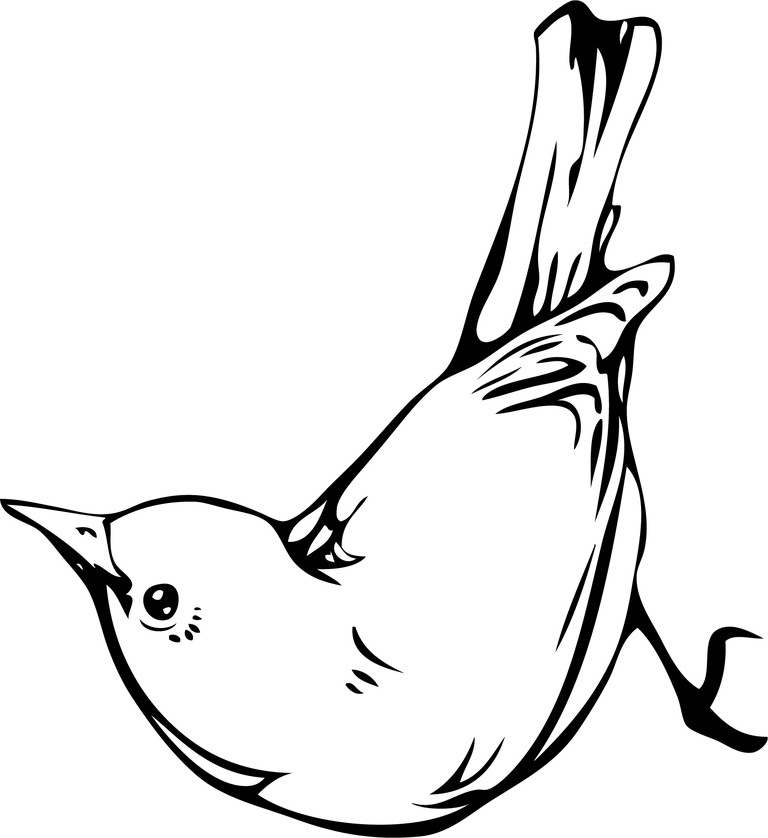art tattoo jimiyo free motorcity featuring a whimsical flying bird illustration for modern tattoos