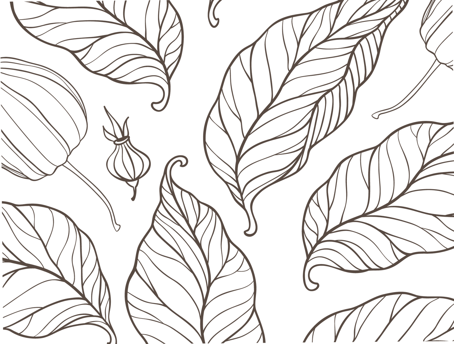 minimalist elegant brown leaves pattern with white background