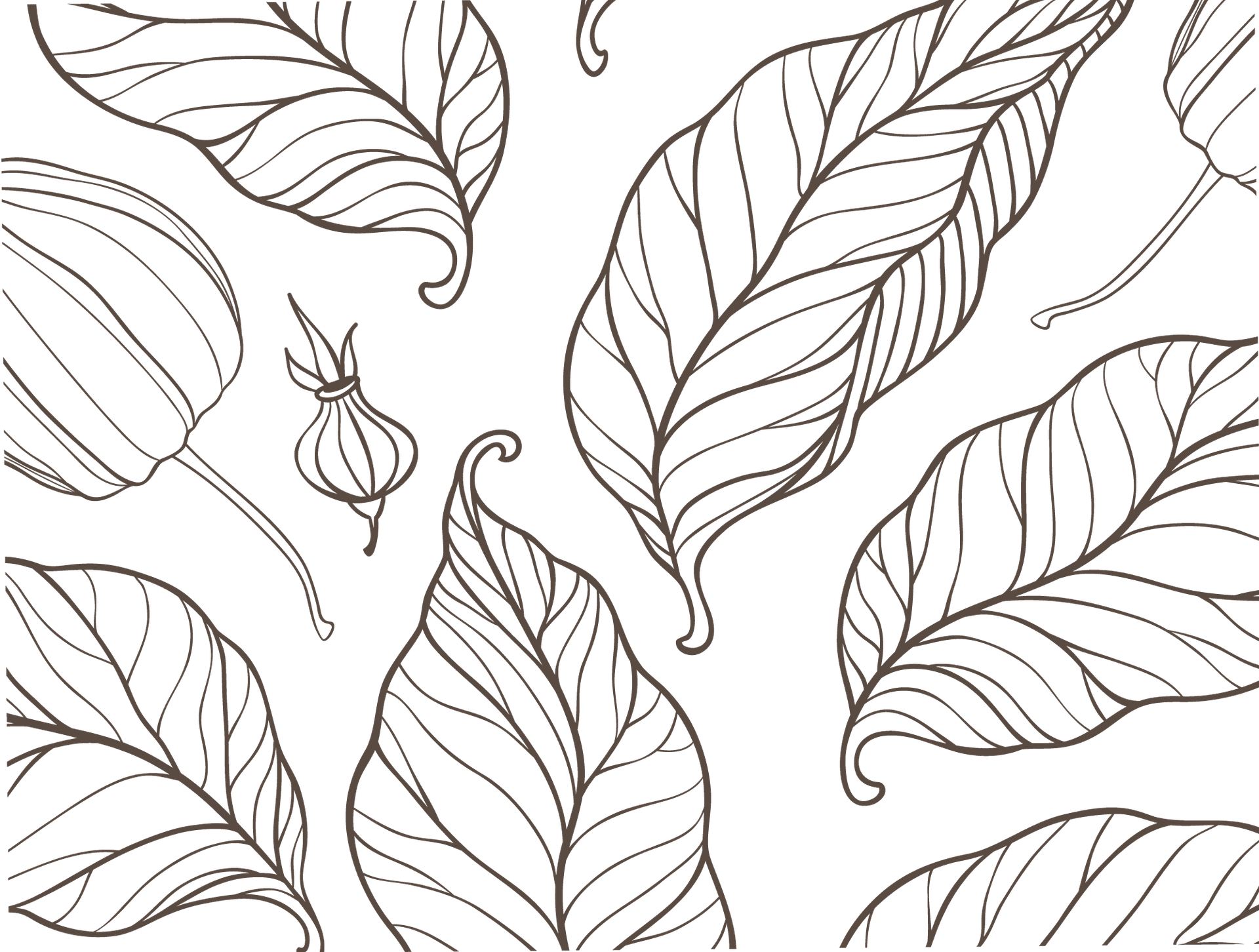 minimalist elegant brown leaves pattern with white background