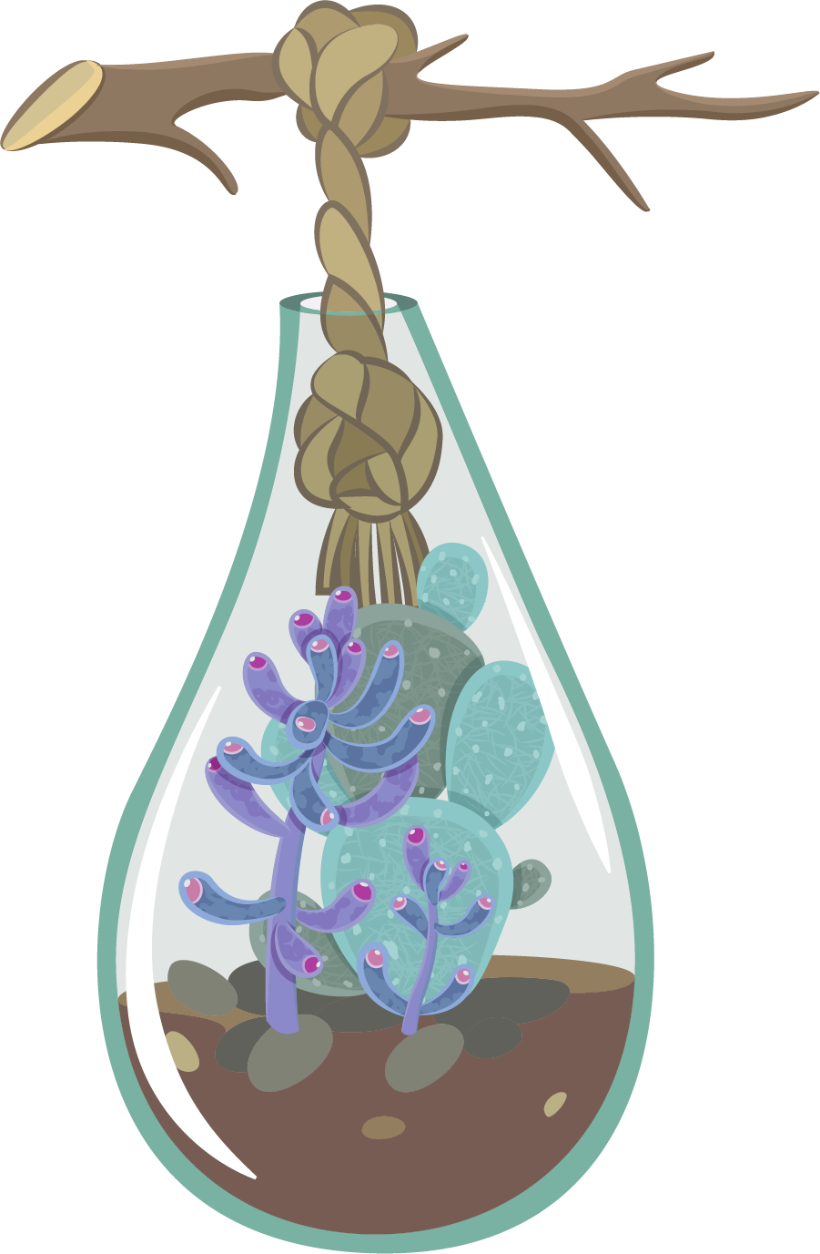 minimalist terrarium with cactus suspended oasis