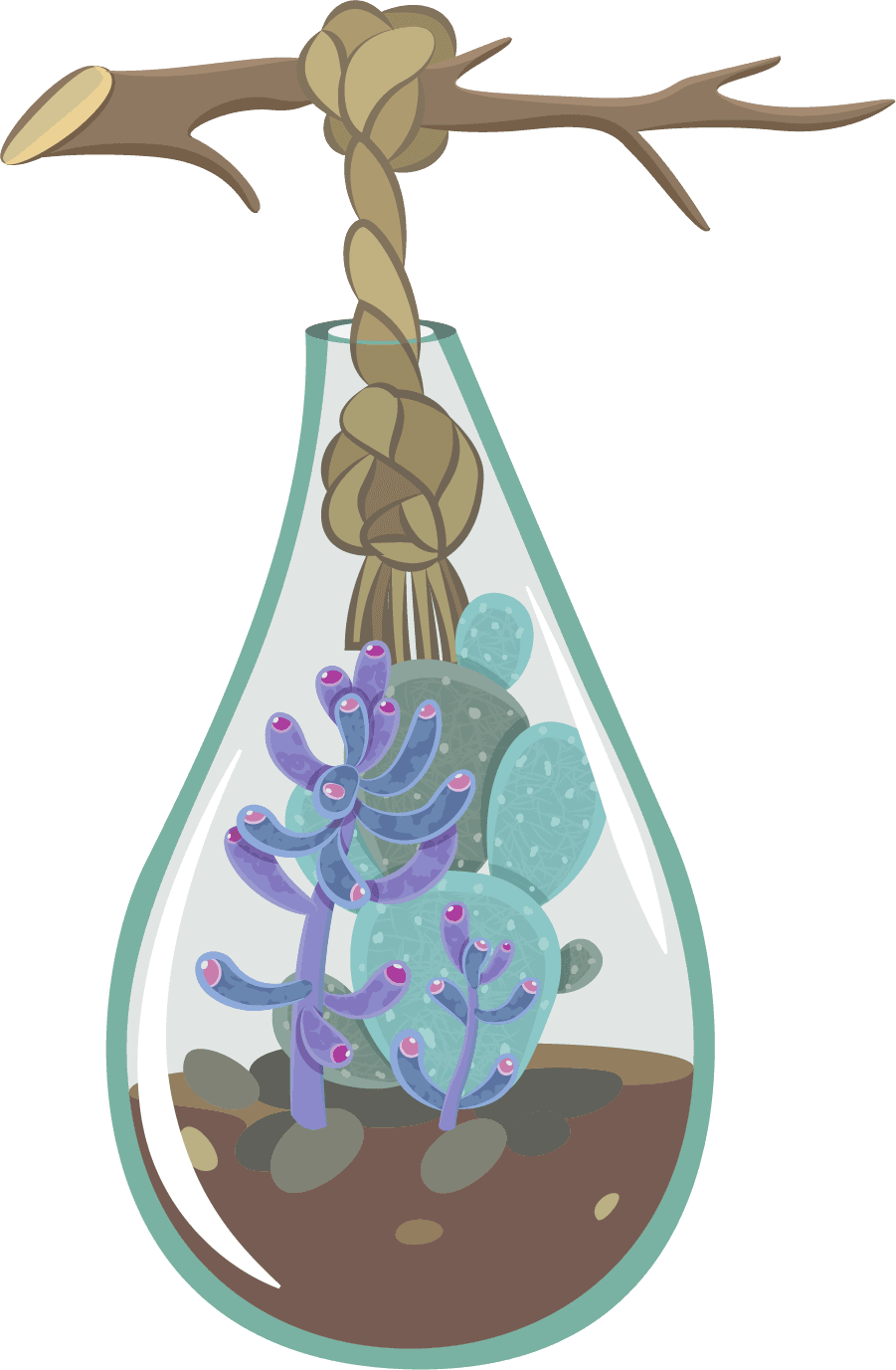minimalist terrarium with cactus suspended oasis