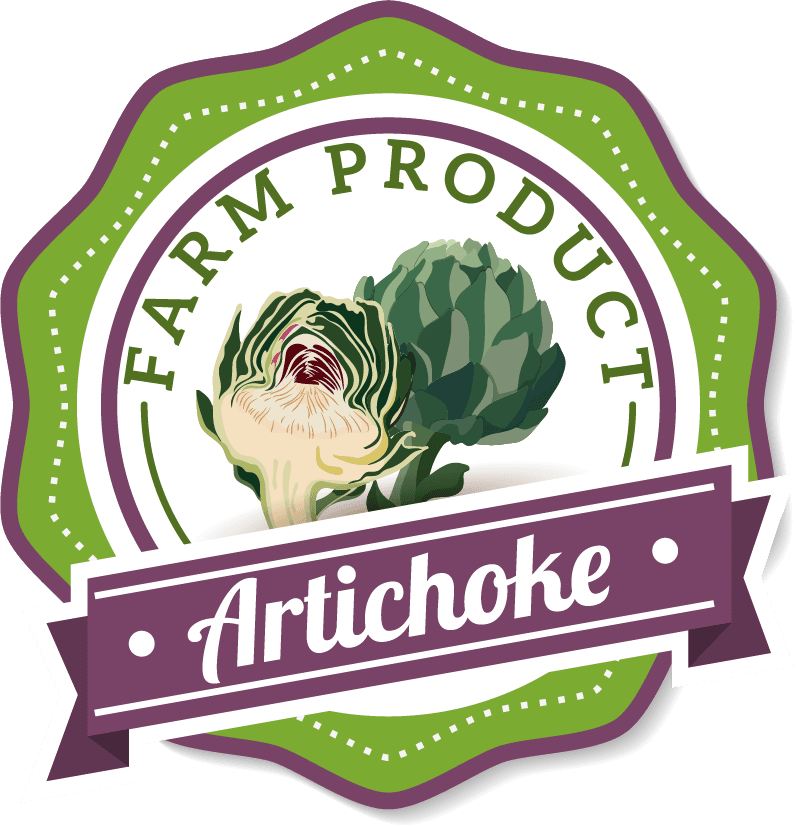 artichoke farm product violet green white
