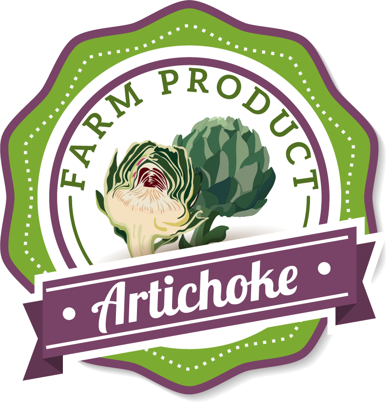 artichoke farm product violet green white