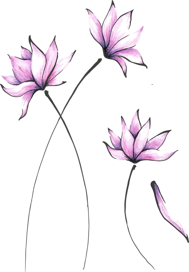 asian flowers botanical in delicate watercolor style for nature-themed projects