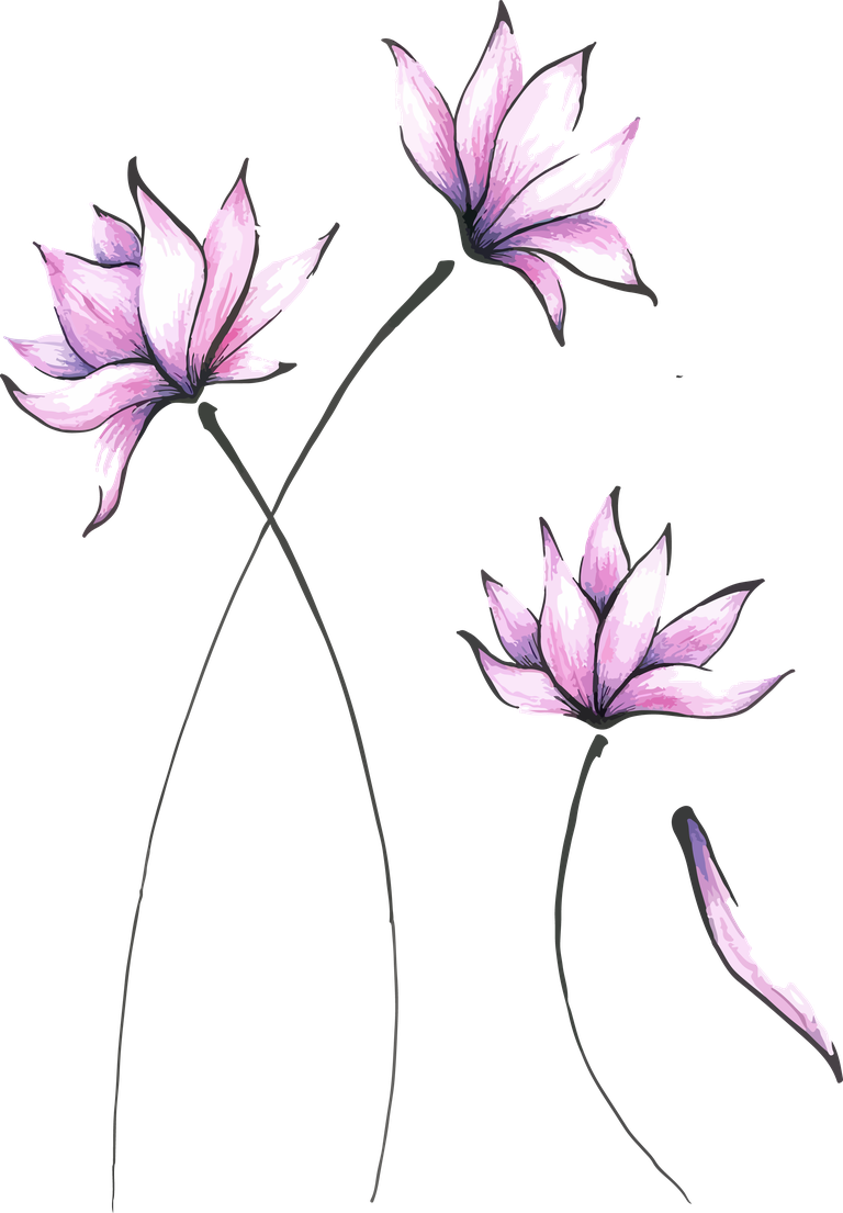 asian flowers botanical in delicate watercolor style for nature-themed projects