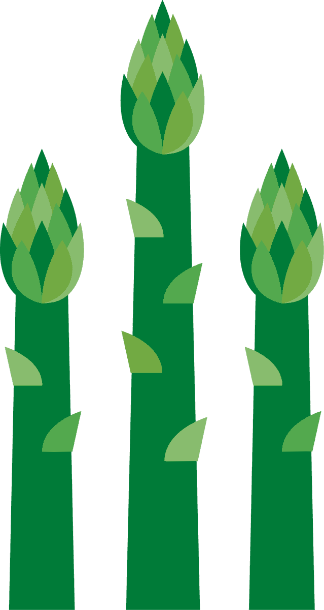 asparagus vegetable icons collection showcasing fresh organic asparagus for culinary delights
