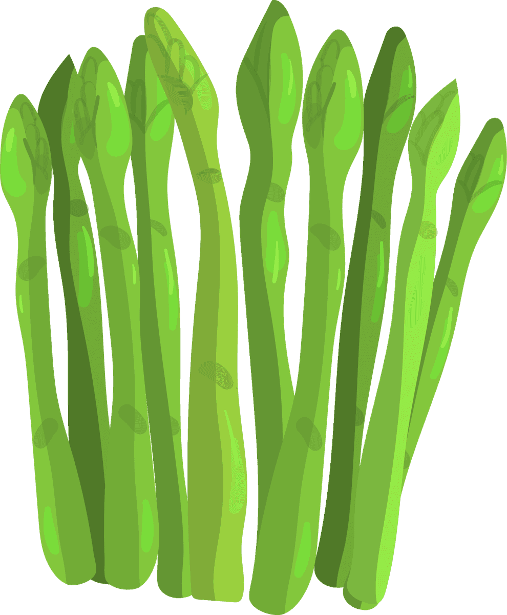 asparagus vegetables herbs collection for cooking, garnishing, and fresh recipes