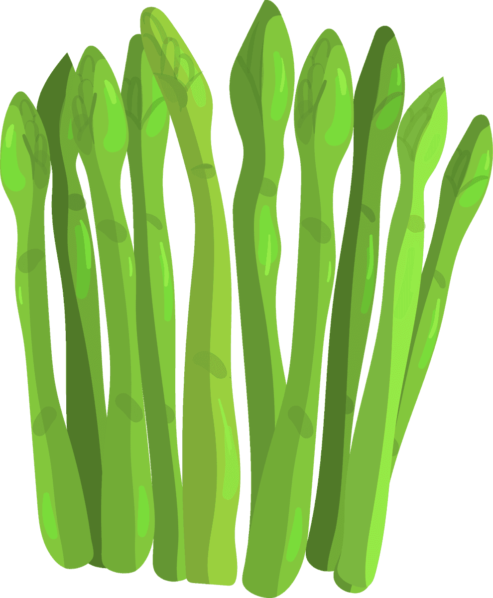 asparagus vegetables herbs collection