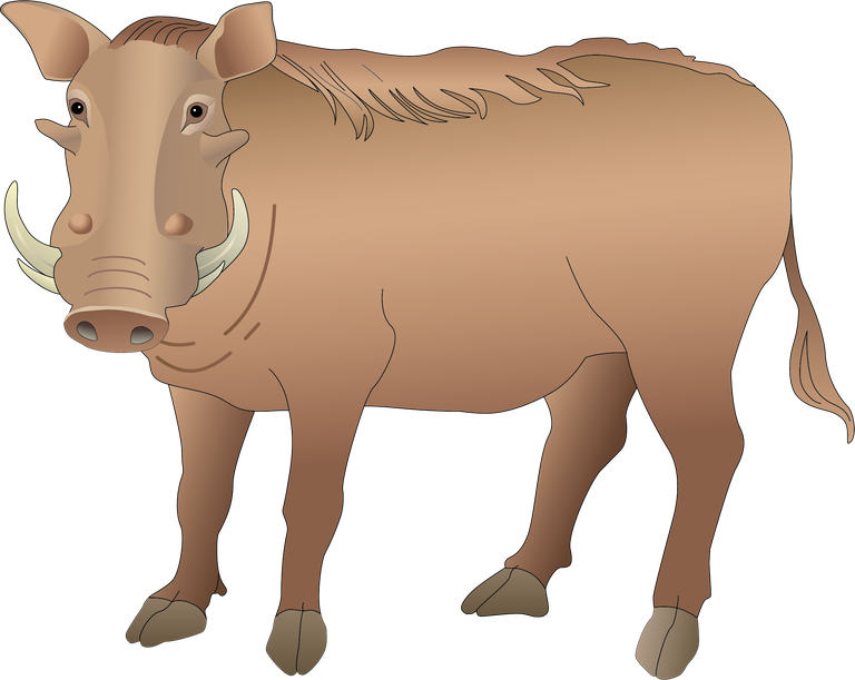 asset animal models and silhouette vector