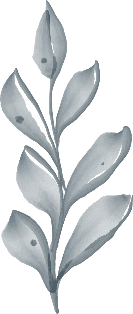 assortment watercolor leaves flowers lilac illustration for home decor projects