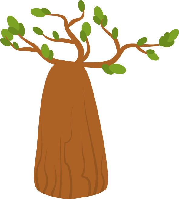 australian traditional symbols and objects featuring a unique boab tree illustration