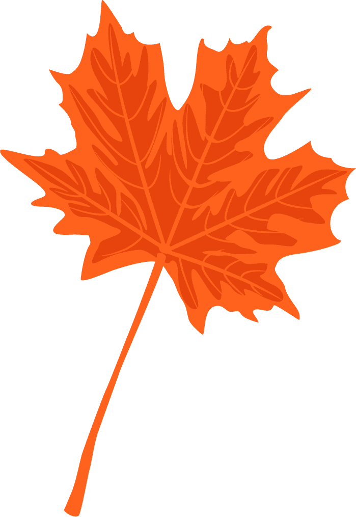 autumn elements colored leaves icons decor