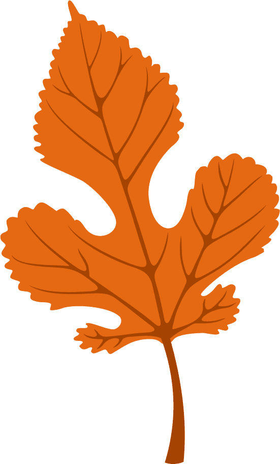 autumn elements colored leaves icons decor