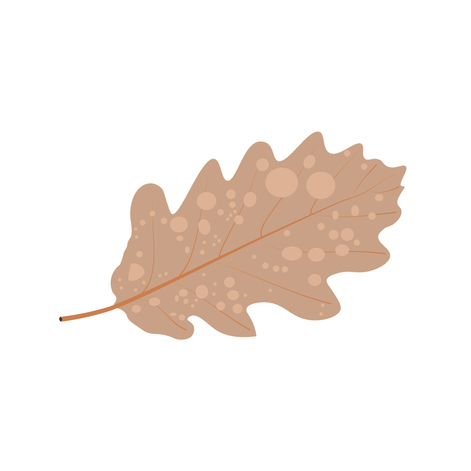 delicate autumn leaf illustration, perfect for nature-inspired projects