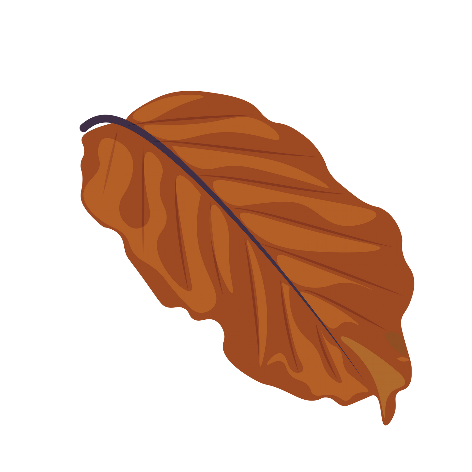 delicate autumn leaf illustration, perfect for nature-inspired projects