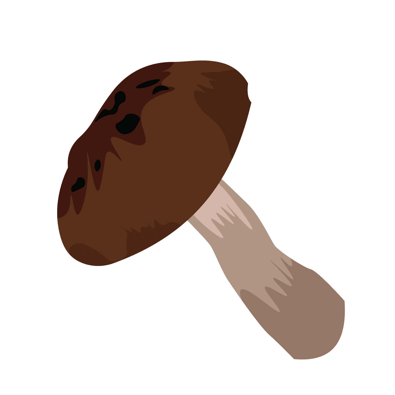 whimsical illustration of various mushrooms for culinary and educational purposes