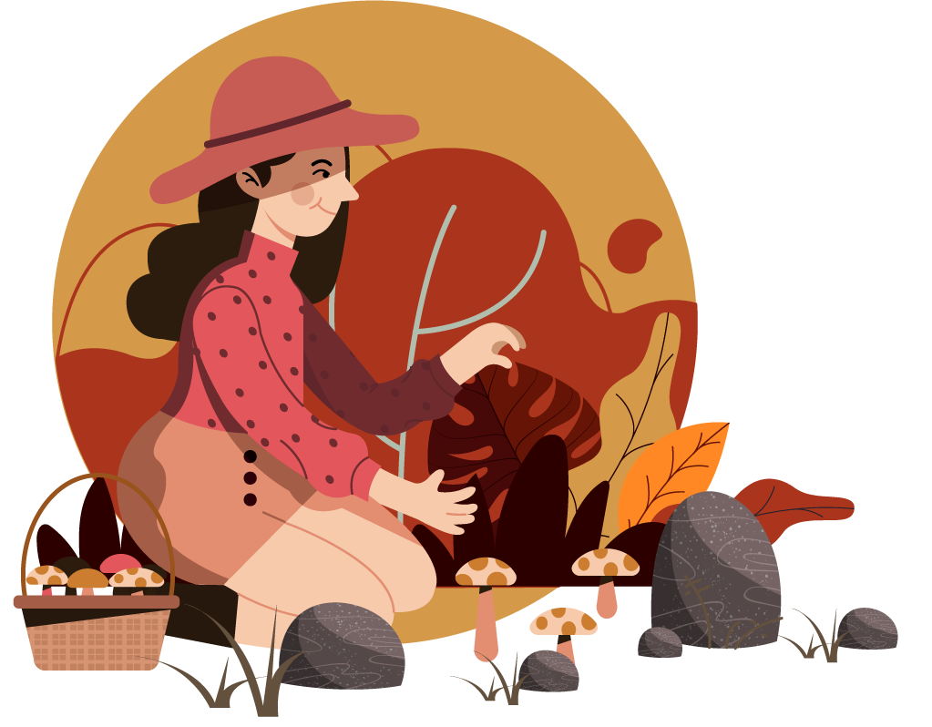 autumn icons classic colorful collection of nature-inspired elements for seasonal decor