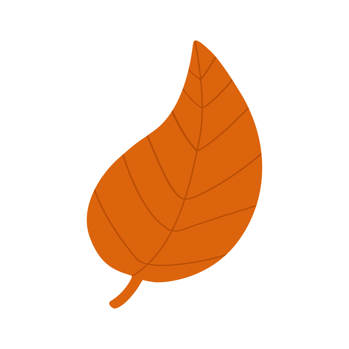 autumnleaf-illustration-cute-fall-season-282426