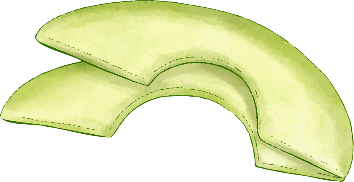 avocado different angles avocado fruit in vibrant colors for culinary and educational use