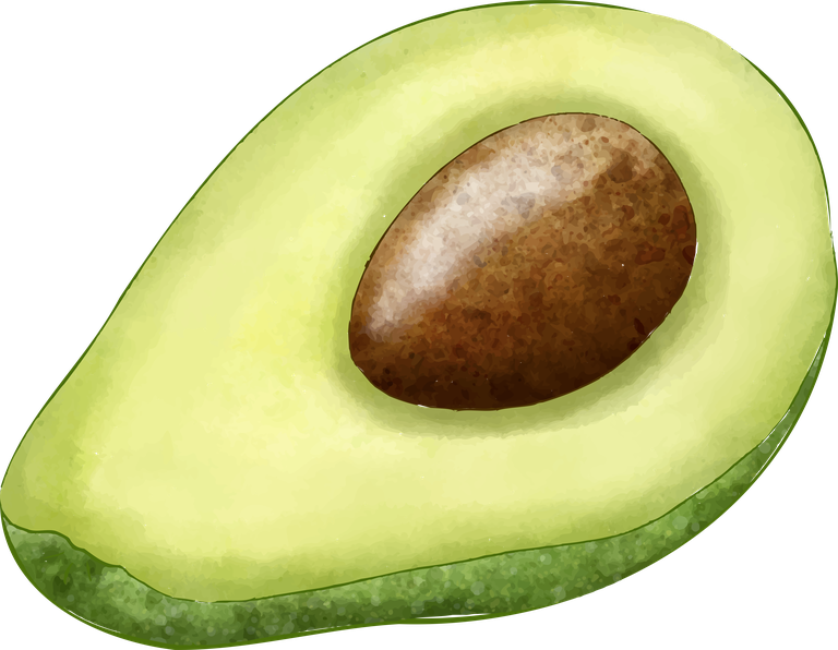 avocado different angles avocado fruit for healthy meals and recipes inspiration