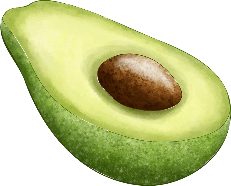 avocado different angles avocado fruit for healthy recipes and nutrition visuals