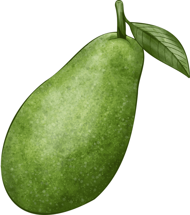 avocado different angles avocado fruit